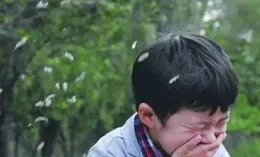 茌平：普都飛絮擾民 醫生支招防護