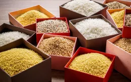 什麽是「四合一」儲糧技術？