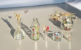 2025年5月份，水瓶座的運勢如何？