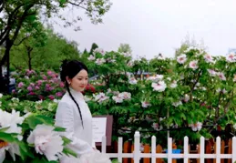 楊紫李現新劇炸場！這部國產劇竟讓全網掀起 「牡丹熱」！