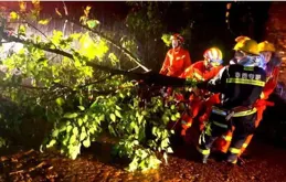 大風天氣，你的皮膚和呼吸道都在「呼救」