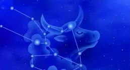 4月金牛和5月金牛，誰是吸金體質？有什麽不同？