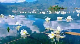 精簡生活，2025年一定要養成健康的6個生活習慣