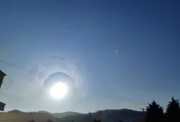 如何看待猴子為報復幼崽被狗殺死，屠盡全村250多條狗崽，抓屋頂樹上活生生摔死，還想殺死小孩？