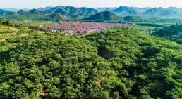 【青山是故鄉】：向下紮根 向上生長