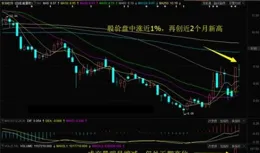 15只科創板活躍股獲主力資金凈流入