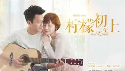 即將上映！青浦影視企業上象娛樂出品電視劇【成家】解碼幸福新法則