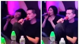 謝霆鋒演唱會現場全家現身，王菲早已秘密到港，兩個兒子未現身
