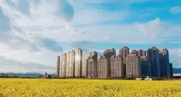 融愛於行 向陽而生 ——解碼泰州市鮑徐小學融合教育「三原色」工程