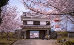 西城舉辦丁香筆會，把牛街的春天寫進古剎