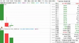 現上市後首虧！中胤時尚2024年凈利虧損3322.61萬元