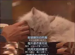 為什麽有人的人生跟開了掛一樣？