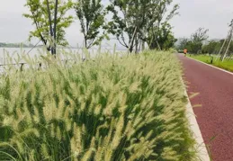 1800公裏送竹苗：中國式家庭最該警惕的「情感荒漠化」