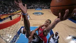 布蘭頓·羅伊表現最強的五個NBA賽季