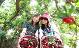 沁源縣： 「莓」好時光迎客來 采摘研學樂趣濃