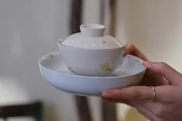 白瓷、玻璃、粗陶、紫砂、鈦合金，蓋碗材質詳解，哪一種更好用？