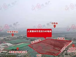 減脂，提高代謝最快的方法：提高活動代謝！