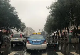 這個母親節，江海區江南街道的花香與溫情撞了滿懷