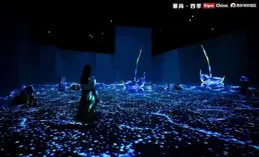 一場蘊含東方哲思的沈浸式藝術盛宴，張維大型個展【仙想世界】在謝子龍影像藝術館開幕