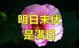 不是迷信！明日四月十四是兇日，無論多忙，記得4件事別犯忌諱