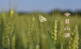這個周末，邂逅「人藝之友」，一起「再造時光」