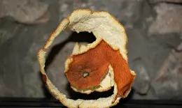 臉幹燥起皮應該補水還是補油？