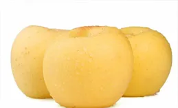 黃金鮮奶油蘋果和普通蘋果區別，哪種甜度高？