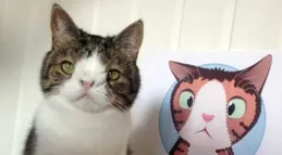 貓中會不會也有智力低下的貓？如智障貓？