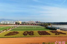 央媒看河南 | 關註河南農業生產等內容