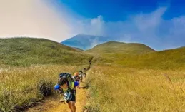 圖集 | 交易再保障 助力櫻桃紅