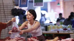 瀝青混凝土路面造價成本分析（2025年最新數據）