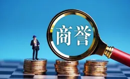 上市不到一年的極氪為什麽突然要被私有化？