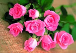 85歲老人告訴我：用眼淚澆灌出來的「白頭偕老」，真的不值得羨慕