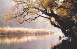 這些情話，讓男人情緒價值直接拉滿！