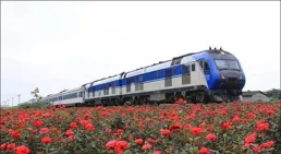 好書推薦【跨山海】：逆旅中開出的花，十四種文人的生命解法