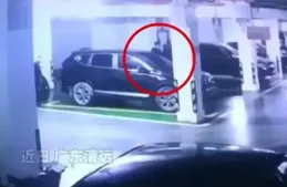 貴州畢節「櫻桃被偷」後續：車牌號被扒出，基本釘選是四川成都。