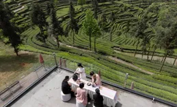 從「汙染村」到「生態優等生」的蝶變