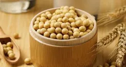 五臟都有偏愛的養生豆，常吃補脾益腎，健腦養心，營養又長壽，快來領取你的專屬吃豆秘籍吧！