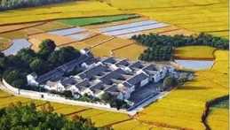 廣東1地1088個村，尋找「中介中心性」美食