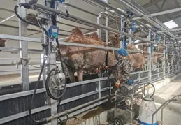 內蒙古天潤化肥取得氣化爐熱電偶安裝深度測量裝置專利，能夠準確調整熱電偶的安裝長度