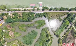 「遠水」解「近渴」 揚州完成全省首單跨省水權交易