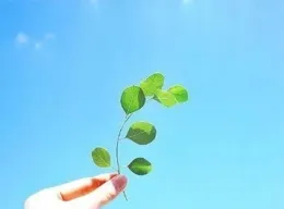 今日小短句，讓人上頭的情緒文案！