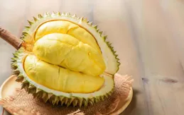 榴槤剝開肉生硬別愁！3個土招搞定，生榴槤也變香甜，全家搶著吃