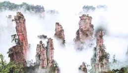 繼張家界、上海之後，大批南韓人湧入鹽城