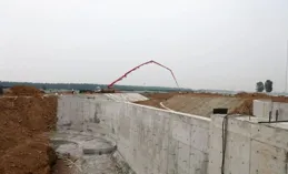 今日立夏，這些養生要點，建議人手一份！