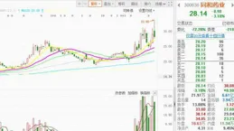 分析師看好這只金融股：有望賺大錢