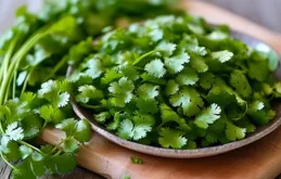 「菜癮」上來了？分享13種莖葉類蔬菜的養生功效給您，讓您吃得更健康！