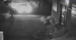 「太嚇人了！」寧波女子7樓家中，深夜爬進1.5公尺長大蛇！