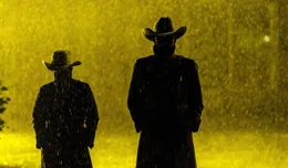 因尺度爭議爆火，這3部成人美劇建議收藏