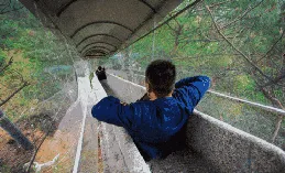 母親節策劃 | 叮咚~這份金彩雲母親節攻略請查收！鮮花免費送→